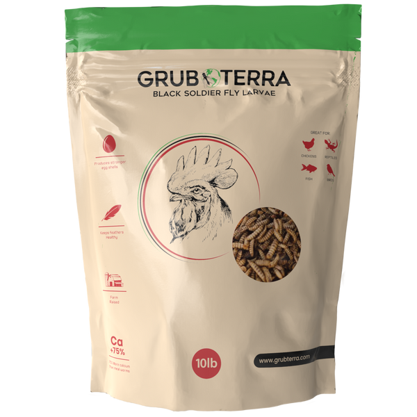 GrubTerra Dried Black Soldier Fly Larvae