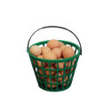 EZ-Gather Egg Basket