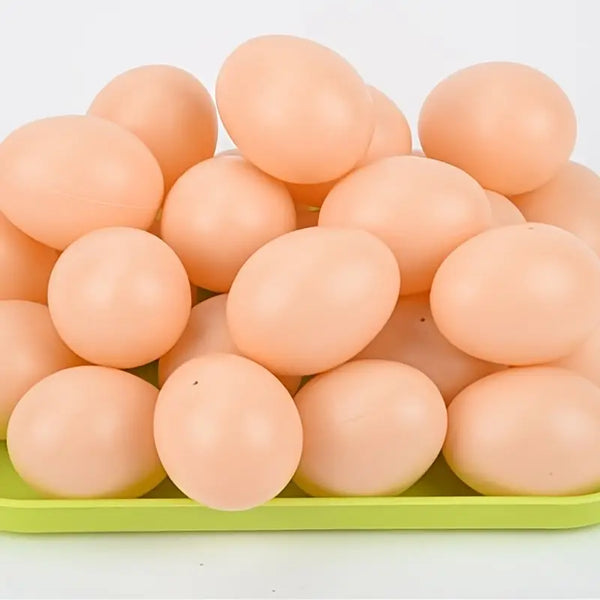 Chicken Coop Training Eggs (5 pack)