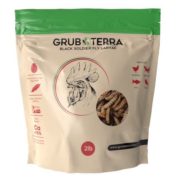 GrubTerra Dried Black Soldier Fly Larvae 10lb