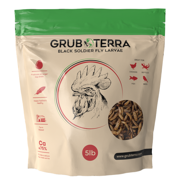 GrubTerra Dried Black Soldier Fly Larvae 10lb