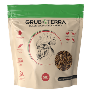 GrubTerra Dried Black Soldier Fly Larvae