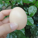 5pcs Chicken Coop Simulative Eggs