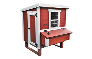 Medium Chicken Coop - Up to 10 Chickens