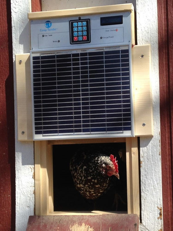 Automatic Chicken Coop Door With Battery Backup