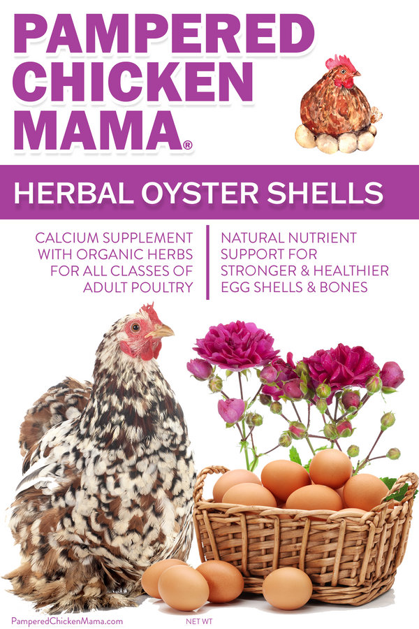 Herbal Oyster Shells