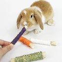 Small Animal Molar Sticks - Chew Toys for Rabbits, Guinea Pigs, Hamsters, and Chinchillas