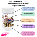 North Atlantic Kelp For Extra Vitamins, Minerals, & Amino Acids For Pet Chickens & Ducks