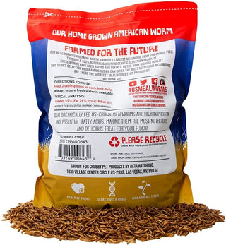 Chubby Mealworms: USA-Grown, Non-GMO, & Organically Grown