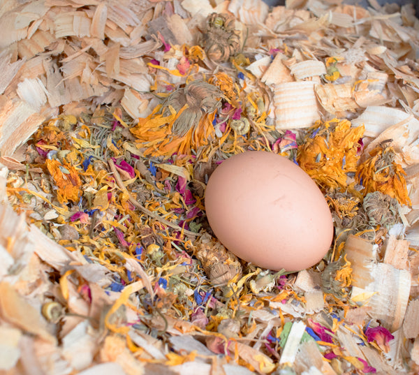 Best eggs ever! nesting herbs for pet chickens in a nesting box with eggs