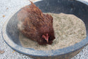 Pick Me Up Floral Dust Bath With Herbs - For Pet Chickens & Other Poultry