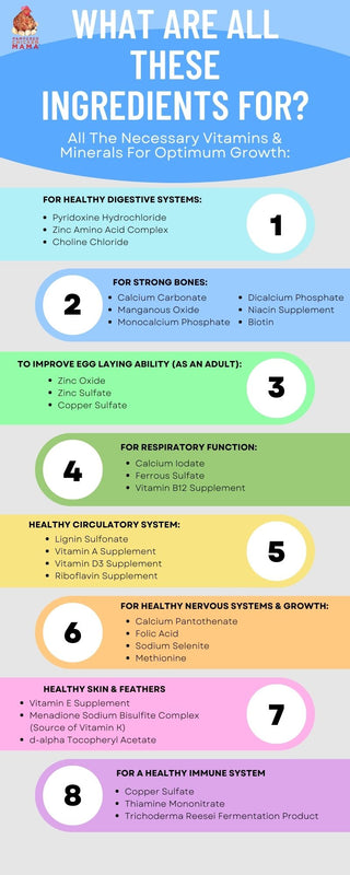 Herbal Chick Starter & Grower Feed With Oregano & Garlic For Baby Chicks