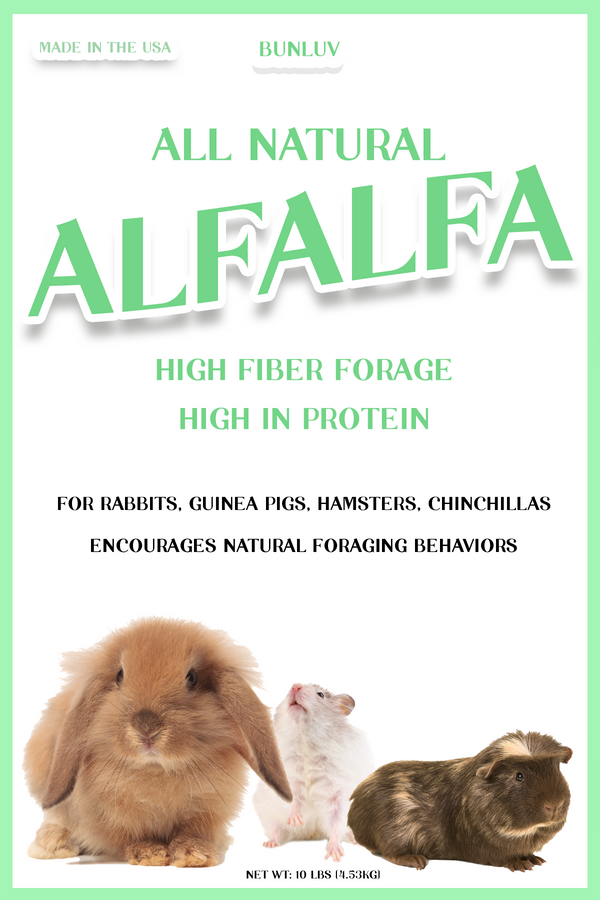 BunLuv All Natural Alfalfa For Rabbits, Guinea Pigs, Chinchillas, & Hamsters (10 Pounds)