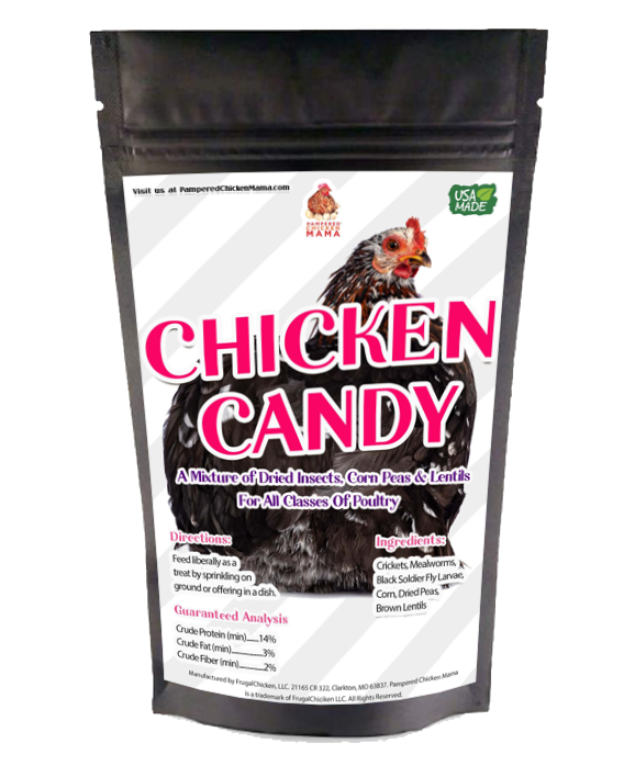 Chicken Candy Treat For Chickens: BloomGrubs, Mealworms, Crickets, Corn, Peas, & More!