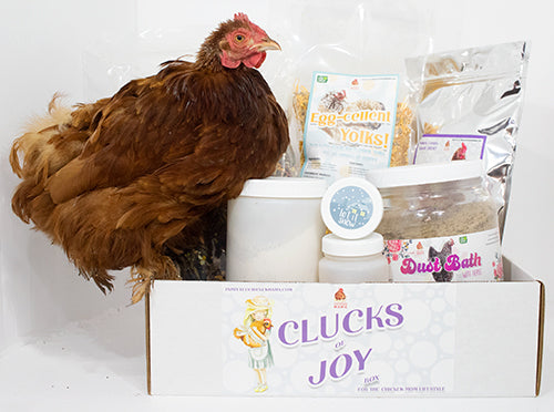 Clucks Of Joy Subscription Box (6 Month Pre-Paid): Pest Control & Non-GMO Treats Delivered Monthly!