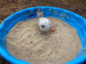 Pick Me Up Floral Dust Bath With Herbs - For Pet Chickens & Other Poultry