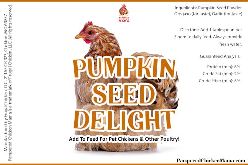 Pumpkin Seed Delight - Add To Feed For For Healthy Coops