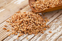 wheat fodder seeds falling out of a wood scoop on a wood background